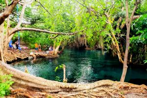 Best Price Guarantee for Safaris in Tanzania