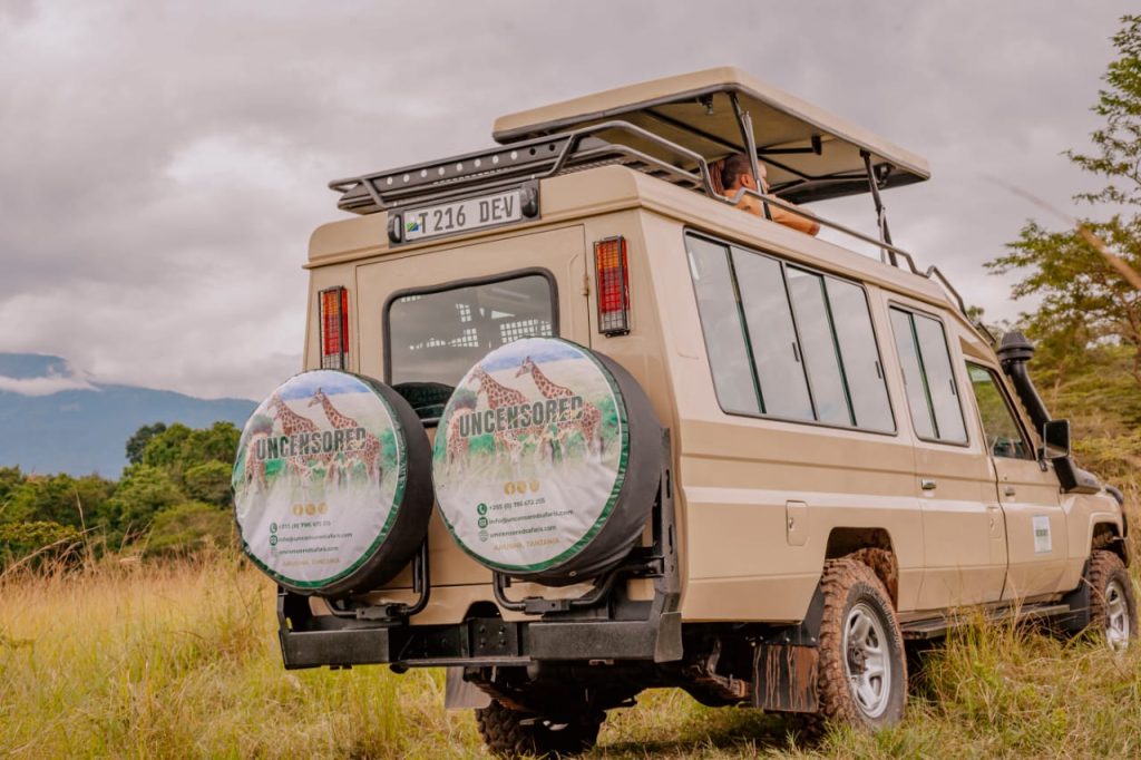 How Much Does an African Safari Cost? WhatsApp Image 2026 03 05 At 2.25.46 PM 1024x682