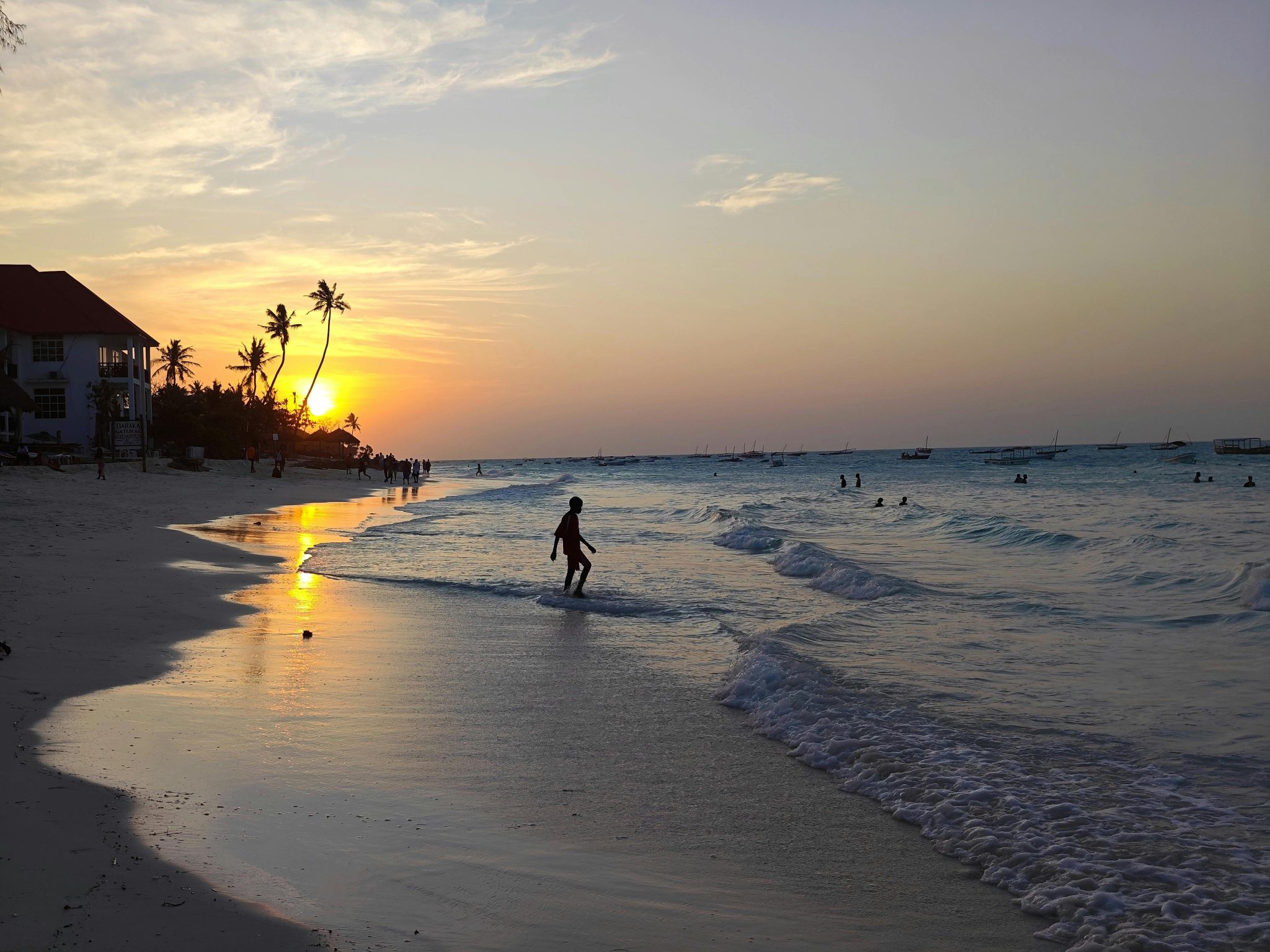 Pexels Attila Lojek 619364315 32365031 2048x1536