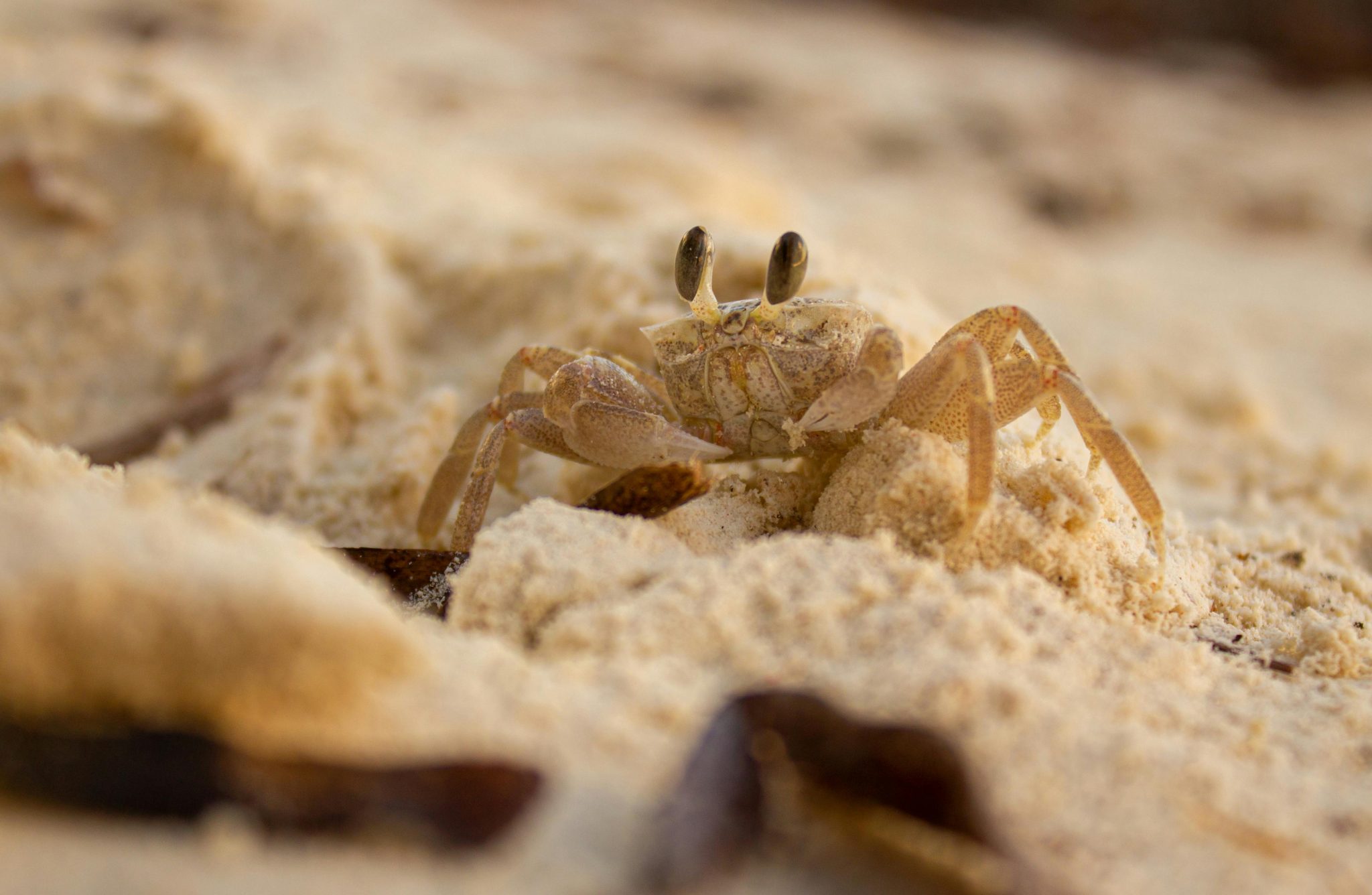 Pexels Nadialovessingle 6607189 2048x1336