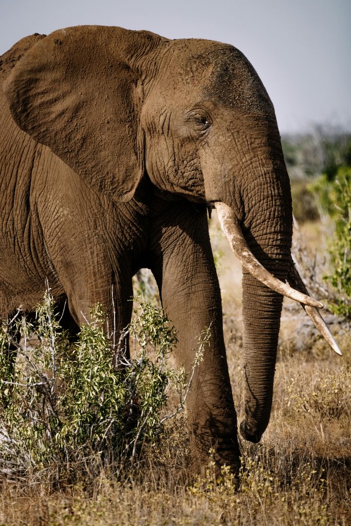 pexels roman odintsov 11760851