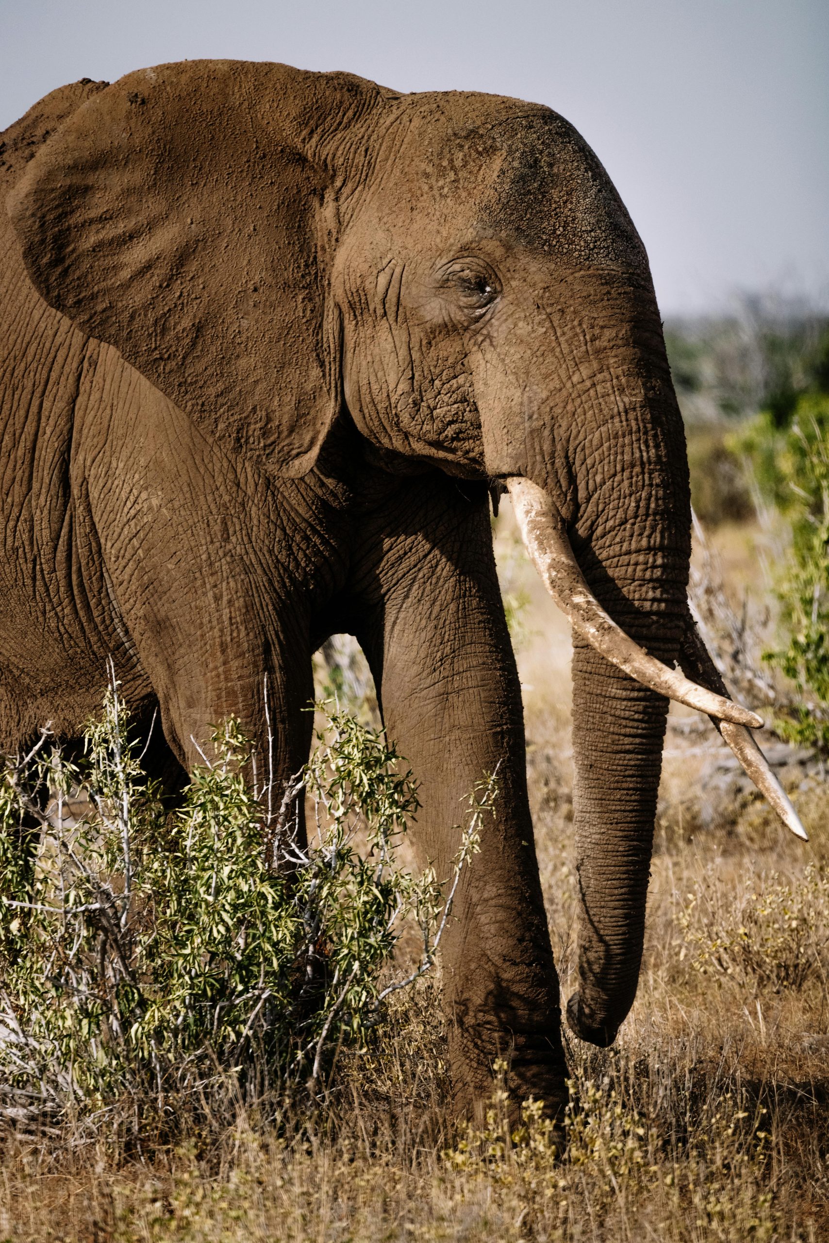 Pexels Roman Odintsov 11760851 Scaled