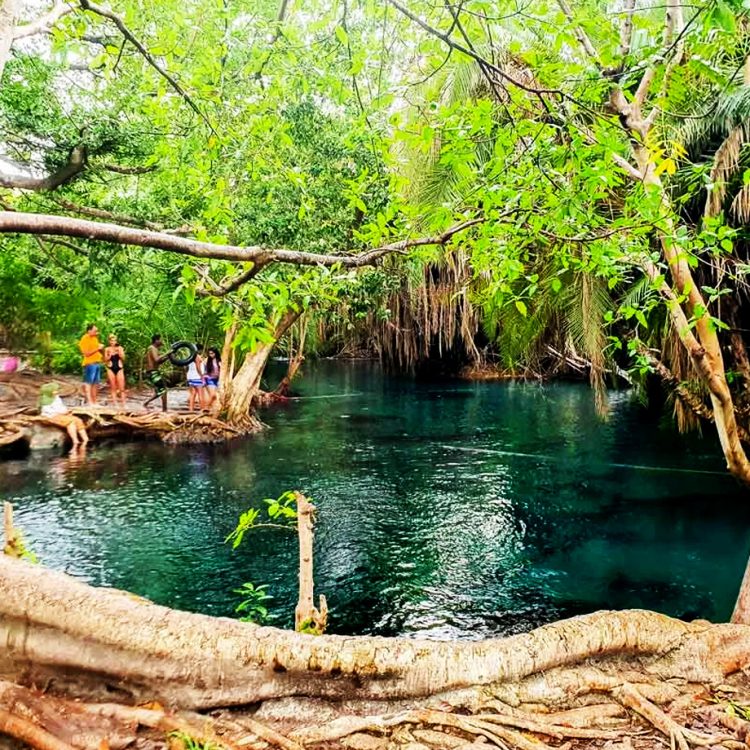 What to expect on a safari in Tanzania? chemka hot springs