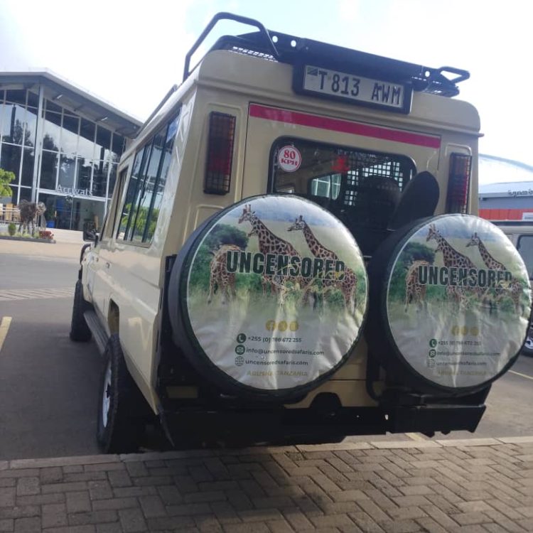 What I wish I knew before visiting Tanzania for safari whatsapp image 2026 03 04 at 9.40.36 am