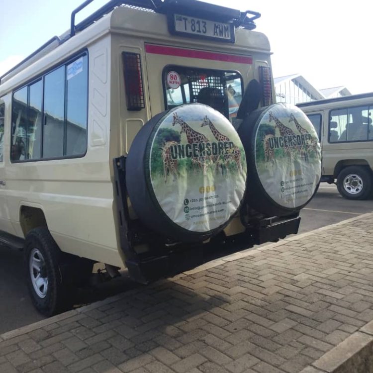 What I wish I knew before visiting Tanzania for safari whatsapp image 2026 03 04 at 9.40.37 am (1)