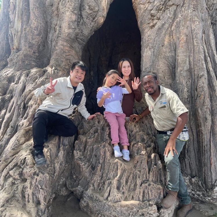 Safari with children: essential safety tips whatsapp image 2026 03 04 at 9.46.27 am