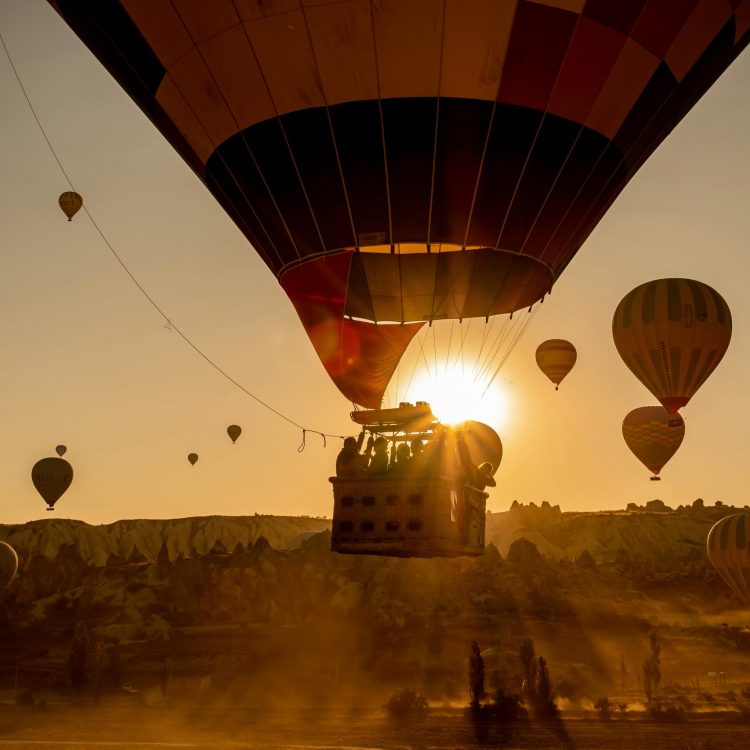 What to expect on a safari in Tanzania? Pexels Timrael 3102817 Scaled Rk5z0pyypppyuaauikq5bedsimt8umtg6uy0sfljgs